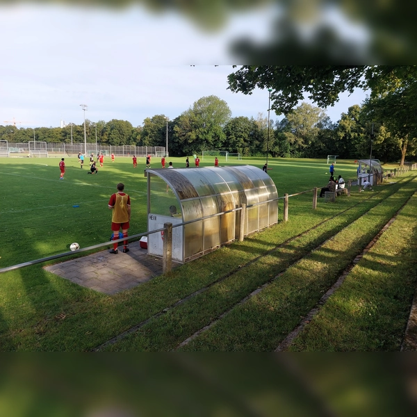 Die Sportanlage an der Aubinger Straße nutzt hauptsächlich der Mehrspartenverein TSG Pasing. (Archivbild: bas)