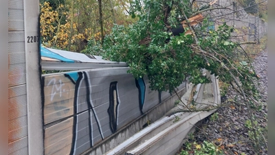 Der Baum drückte erst die Lärmschutzwand ein und schlug anschließend auf einem Regionalexpress auf.  (Foto: Bundespolizei)