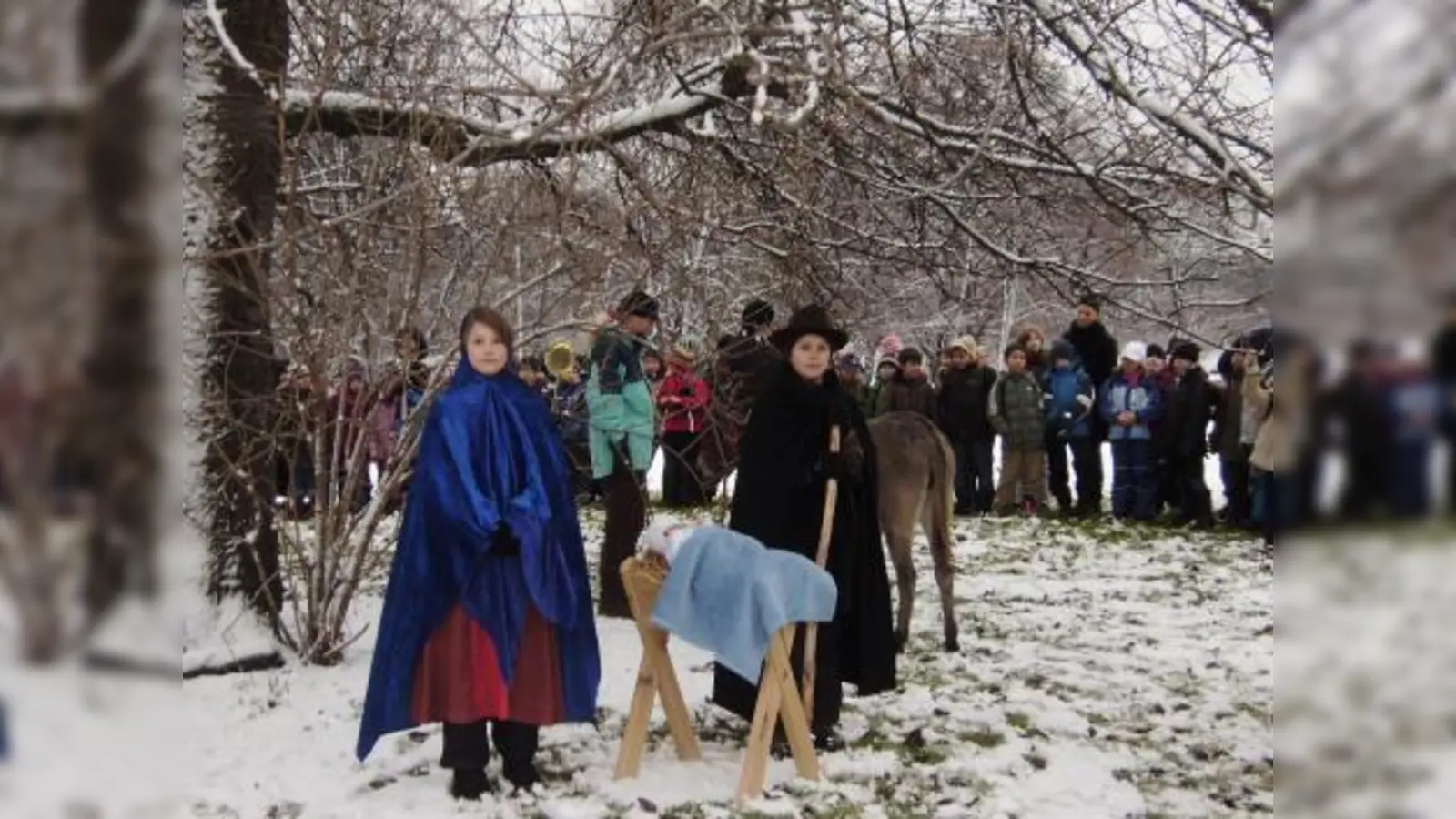 Über 300 Schülerinnen und Schüler feierten im Hirschgarten mit zwei Eseln die Waldweihnacht. (Foto: von Sprenger)