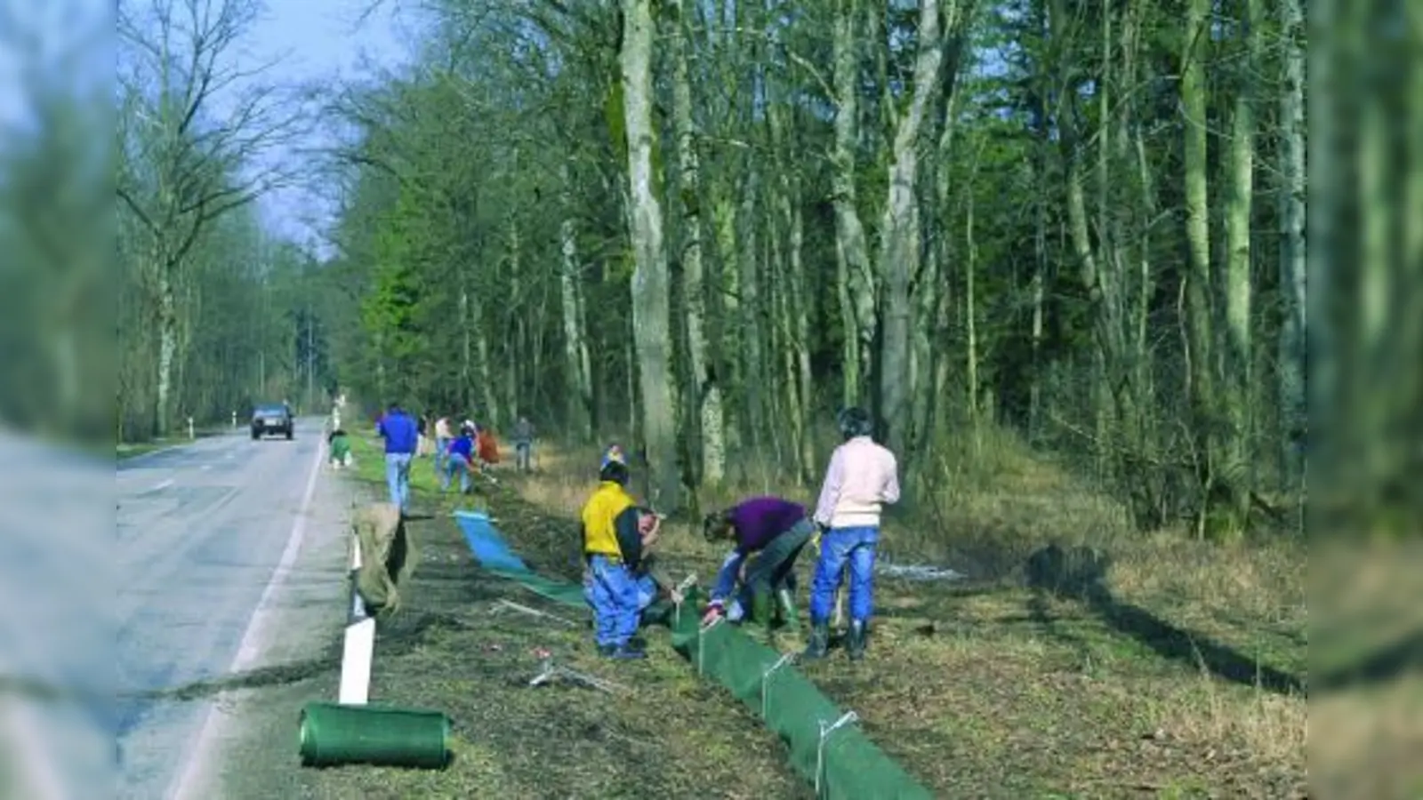 Krötenzäune sollen verhindern, dass die wandernden Amphibien unter die Räder geraten. (Foto: W. Willner)