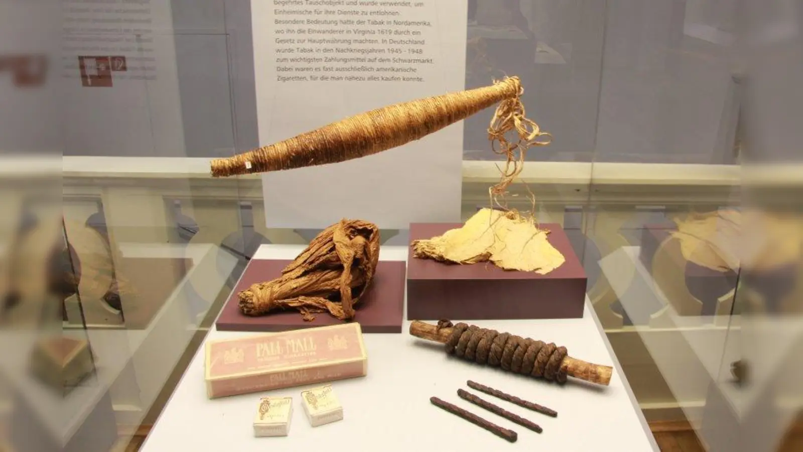 Tabak ist ein Produkt aus getrockneten und fermentierten Blättern von Pflanzen der Gattung Nicotiana. Die Heimat dieser Pflanze ist Amerika. In Form von Blättern, Stangen oder Zöpfen wurde Tabak in einigen Teilen der Welt auch bald als Zahlungsmittel eingesetzt. (Foto: B. Schmalzl, Museum Mensch und Natur)