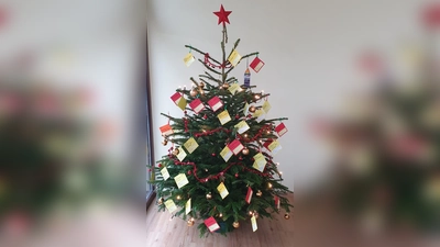 So etwa wird auch dieses Jahr der Wunschbaum im AWO-Büro aussehen. (Foto: AWO Germering)