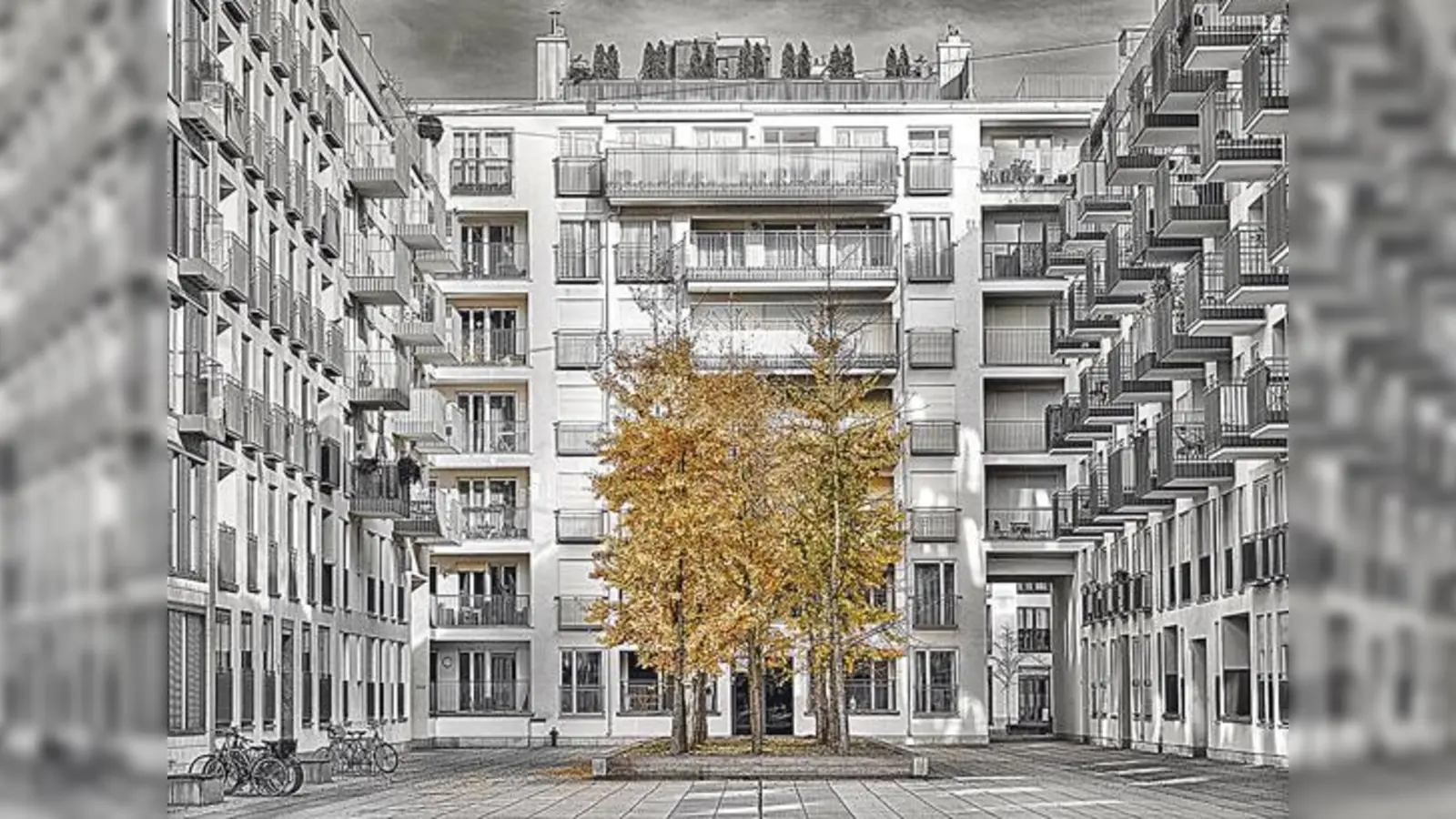 Mit scheinbar einfachen Mitteln lenken die Fotografen die Aufmerksamkeit der Betrachter aufs Wesentliche.  	 (Foto: Massanetz/Horak)