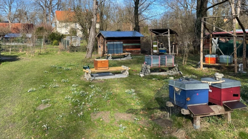Der Lehrbienenstand des Imkervereins (Foto: Imkerverein München und Umgebung e.V.)