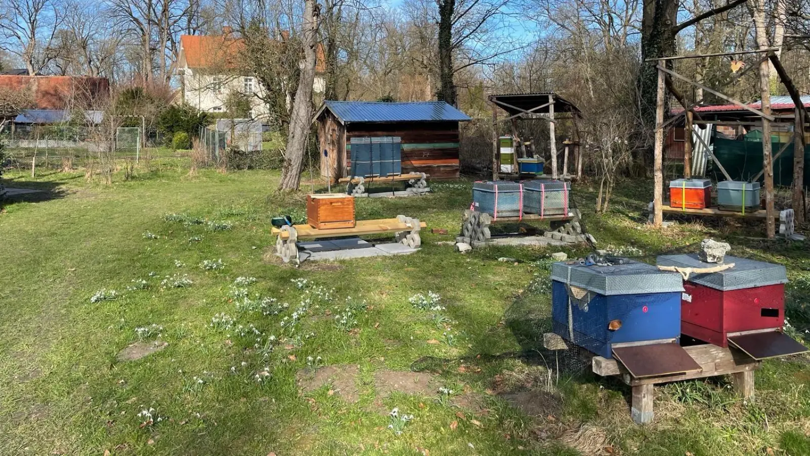 Der Lehrbienenstand des Imkervereins (Foto: Imkerverein München und Umgebung e.V.)