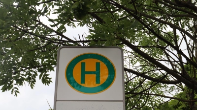 Wegen einer Sportveranstaltung in der Ludwigs- und Leopoldstraße werden am Wochenende mehrere Buslinien umgeleitet.  (Archivbild: mha)