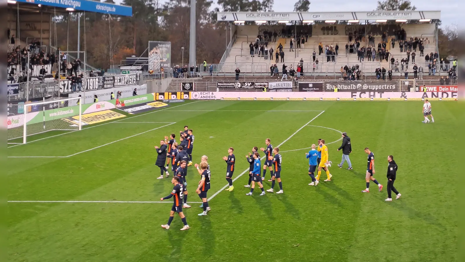 Rehabilitiert in den Sandhausener Dünen: Münchner Löwen.  (Foto: M. Forster)