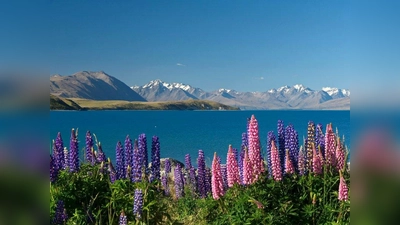 Wunderschönes Neuseeland. (Foto: Hiller)