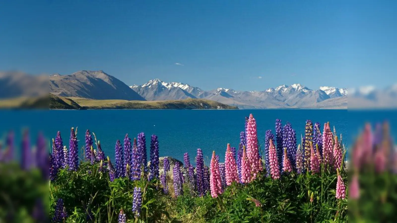 Wunderschönes Neuseeland. (Foto: Hiller)