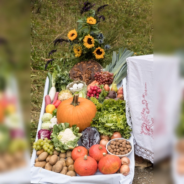 Die farbenfrohe Ernte wird präsentiert (Foto: Markus Wasmeier)