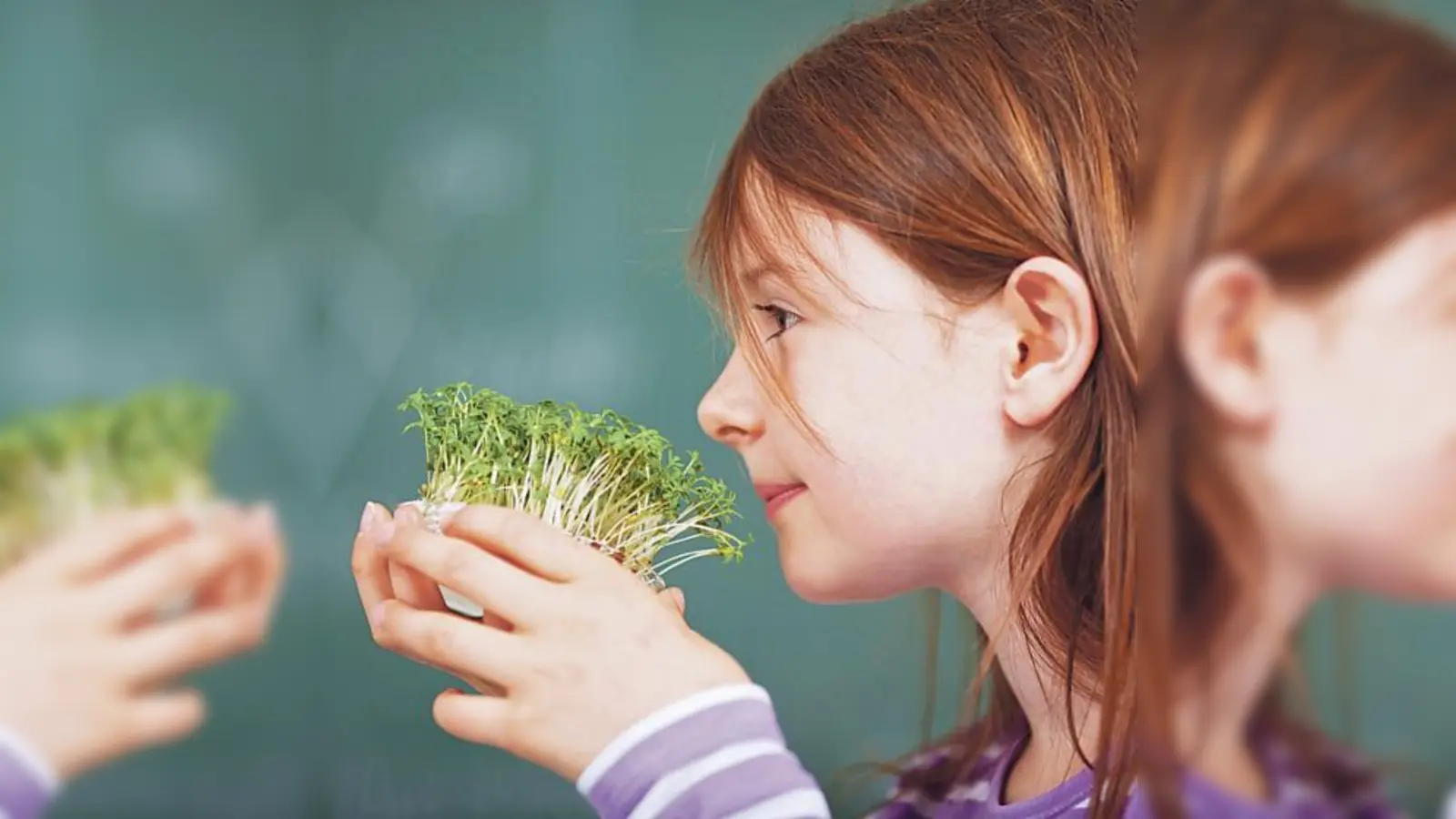 »Wo kommt mein Essen her?«  das KErn fördert mit den 5. Bayerischen Ernährungstagen das Ernährungswissen in der Bevölkerung.  (Foto: KErn)