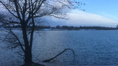 Sechs EU-Badegewässer gibt es im Landkreis Erding, darunter auch der Kronthaler Weiher. (Archivbild: sbg)
