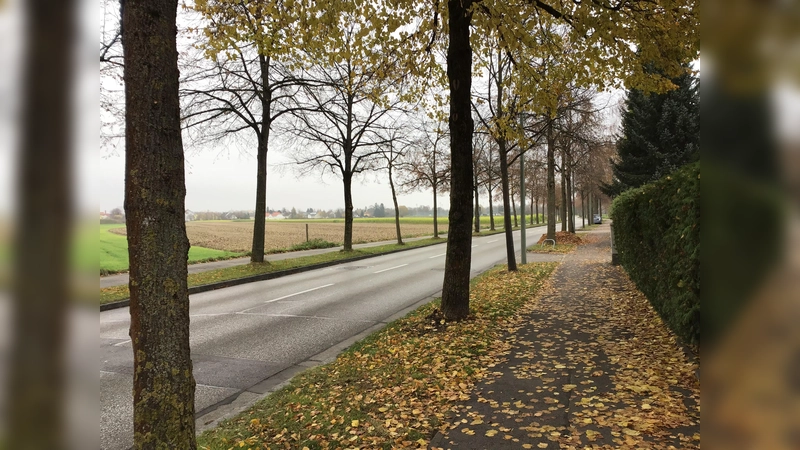 In der Lerchenau, Richtung Feldmoching, wird fleißig gebaut werden. Was wird mit dem verkehr dort sein? (Foto: Daniel Mielcarek)