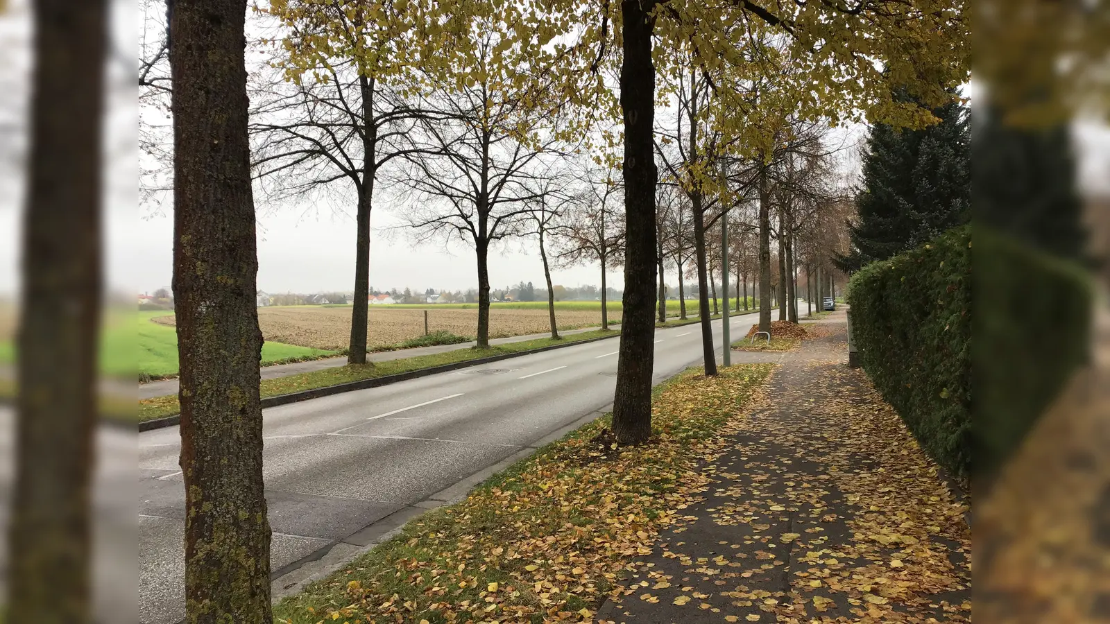 In der Lerchenau, Richtung Feldmoching, wird fleißig gebaut werden. Was wird mit dem verkehr dort sein? (Foto: Daniel Mielcarek)
