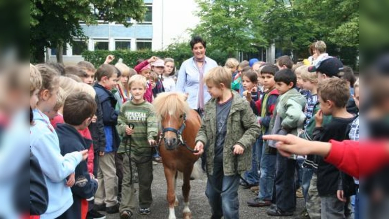 Das Pony „Titus” am Zügel zu führen, war für die Zweitklässler der Grundschule an der Camerloherstraße der Höhepunkt einer „Coach-Stunde”. (Foto: tg)
