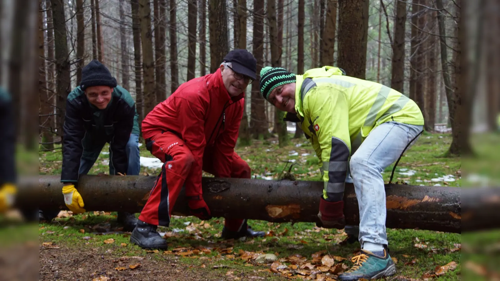 Der künftige Maibaum wurde bereits gefällt und wird derzeit von den fleißigen Helfern des Vereins Partnerschaft mit Trogir e.V. vorbereitet. (Foto: Verein Partnerschaft mit Trogir e.V.)