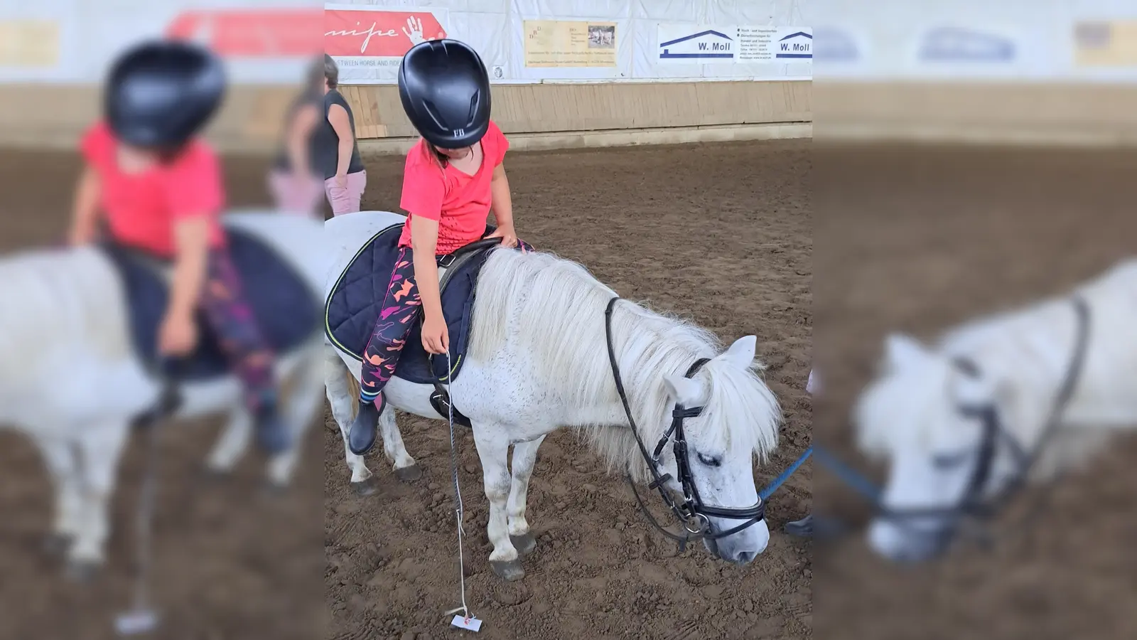 Kinder haben Spaß auf dem Reithof Brand. (Foto: Astrid Rötzer)