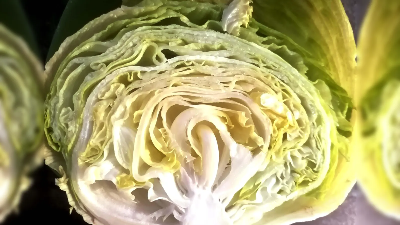 Leichten Speisen wie Salat ist im Sommer der Vorzug zu geben. Auch das entlastet den Körper bei großer Hitze.  (Foto: job)