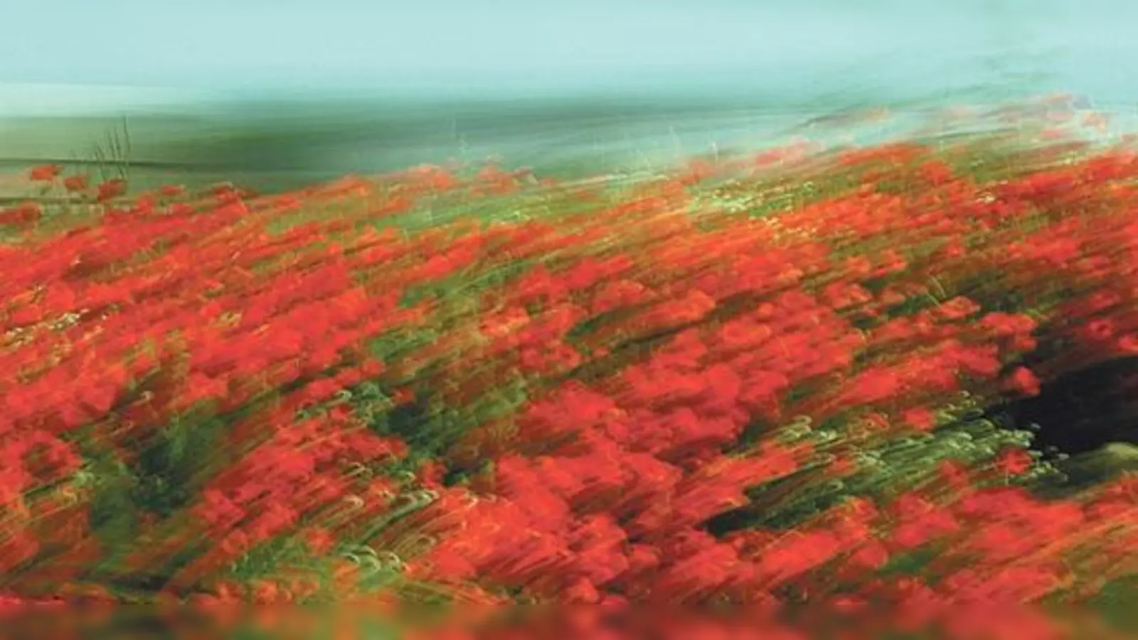 Fotografien von Jennifer Scales im Ökologischen Bildungszentrum. 	 (Foto: VA)