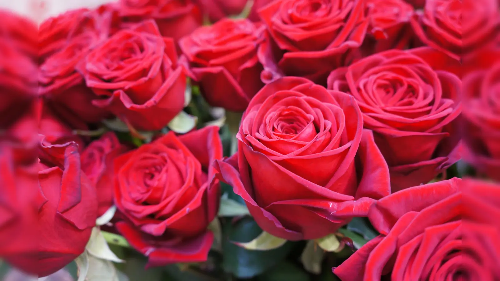 Um das Thema Liebe dreht sich der Abend am 12. Juli. (Foto: hw)
