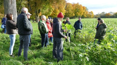 Klimaschutz beim Ackerbau geht nur gemeinsam: Hier wird eine Führung über ein Feld angeboten, das Zwischenfrüchte trägt.  (Foto: © Energieagentur Ebersberg-München)