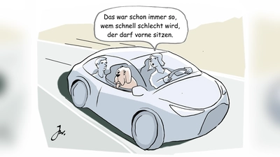 So sollten Hunde nicht im Auto mitfahren. (Foto: Auto-Medienportal.Net/Goslar Institut)