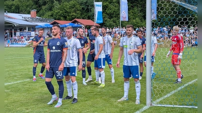 Zu Gast in Niederbayern: Löwen in Grafenau. (Foto: M. Forster)