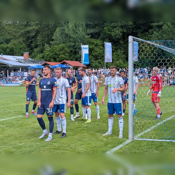 Zu Gast in Niederbayern: Löwen in Grafenau. (Foto: M. Forster)