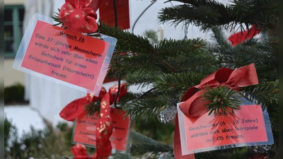 An einem Christbaum vor dem Pelkovenschlössl hängen die Wünsche kleiner und großer Moosacherinnen. (Foto: Pelkovenschlössl)