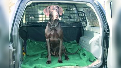 Ein Trenngitter oder Netz schafft eine sichere Zone für den Hund im Laderaum. (Foto: sb)