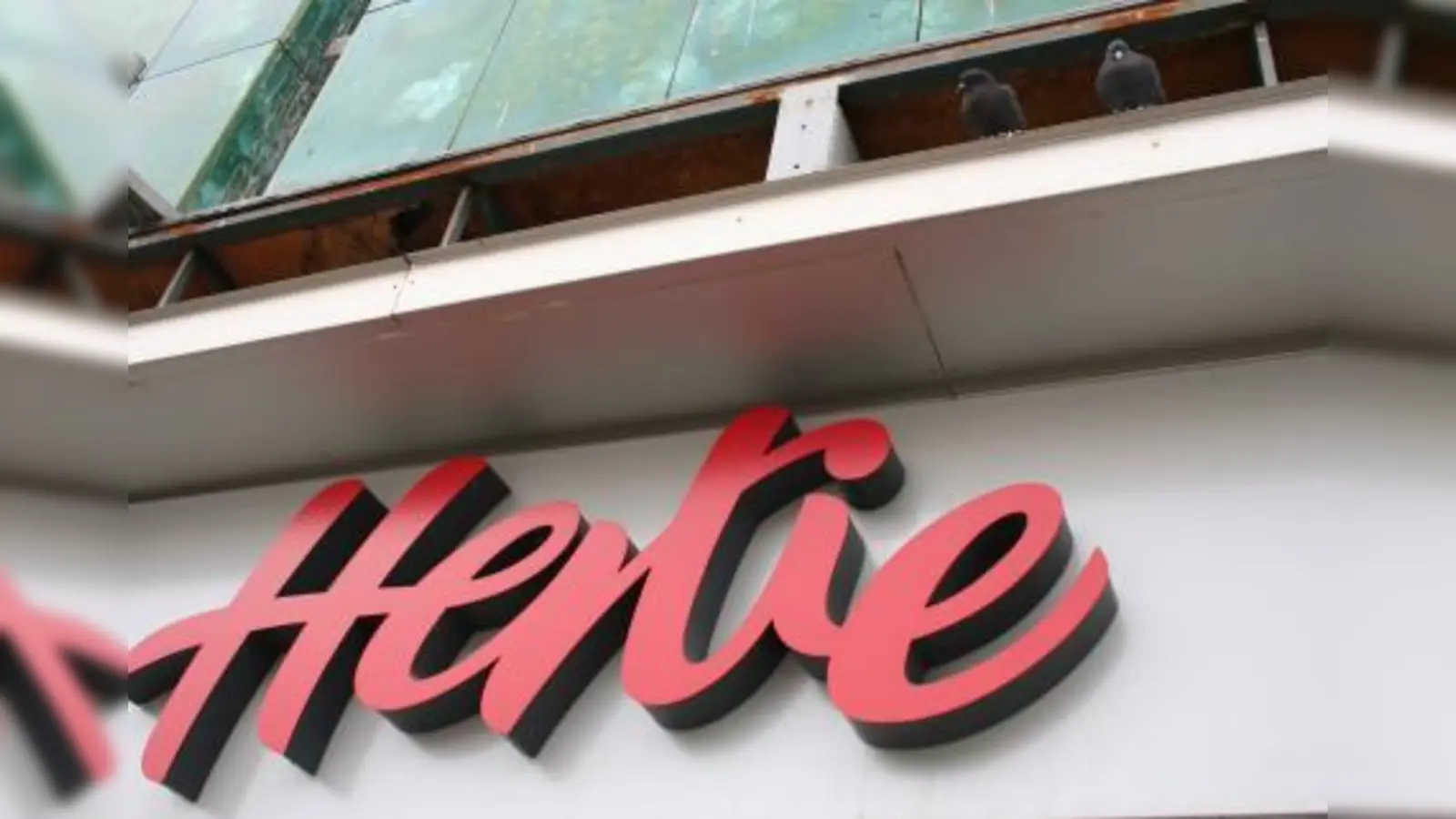 Tauben haben das „Hertie”-Gebäude in der Fürstenrieder Straße besetzt. Der Abriss des ehemaligen Warenhauses ist nun für Ende Mai, Anfang Juni geplant. (Foto: tg)
