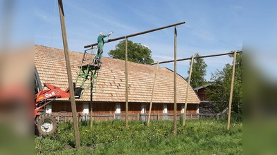 In Valley wurde ein Hopfengarten errichtet, jetzt kann man den Trieben beim Wachsen zusehen. Am 6. September ist ein Hopfenzupferfest geplant.  (Foto: Thomas Furtner)