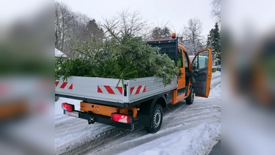 Am 11. Januar werden ab ca. 8.30 Uhr gegen einen kleinen Unkostenbeitrag von 5 Euro die Christbäume abgeholt. (Foto: BRK )