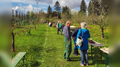 Zu der Pflanzentauschbörse im Lehrgarten des Obst- und Gartenbauvereins kamen viele Interessierte.  (Foto: Gemeinde Gilching)