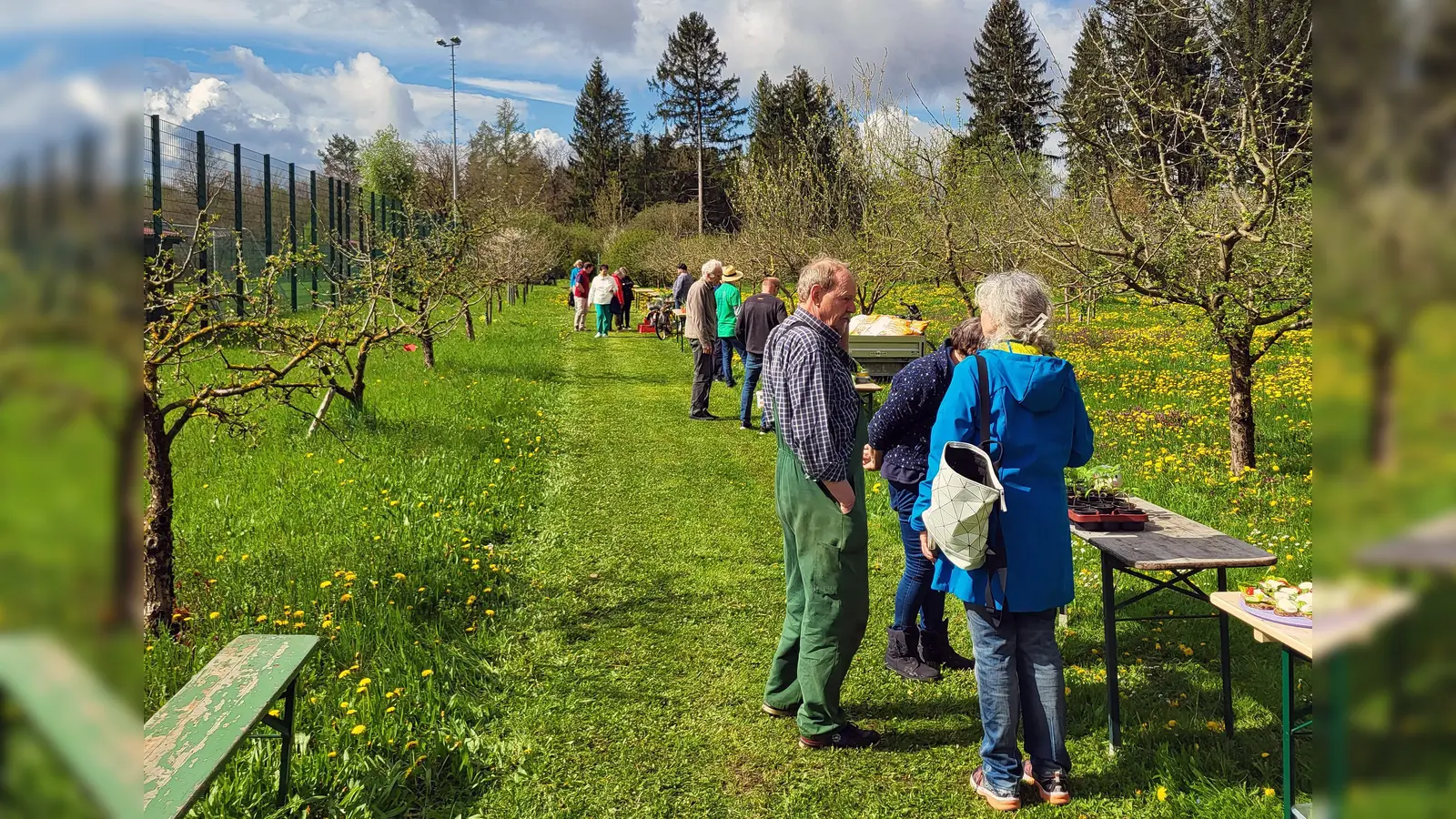 Zu der Pflanzentauschbörse im Lehrgarten des Obst- und Gartenbauvereins kamen viele Interessierte.  (Foto: Gemeinde Gilching)