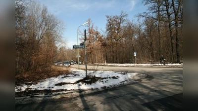 Das Tannenwäldchen am Kapuzinerhölzl nördlich des Nymphenburger Parks ist eine beliebte Spaziergegend. Sobald es wärmer wird, fühlen sich die Anwohner allerdings zunehmend von einer etablierten Homosexuellen-Szene bedroht. (Foto: US)