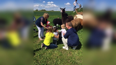 Heuer gab es Kaffee und Kuchen mitten unter Lamas und Alpakas. (Foto: LRA)