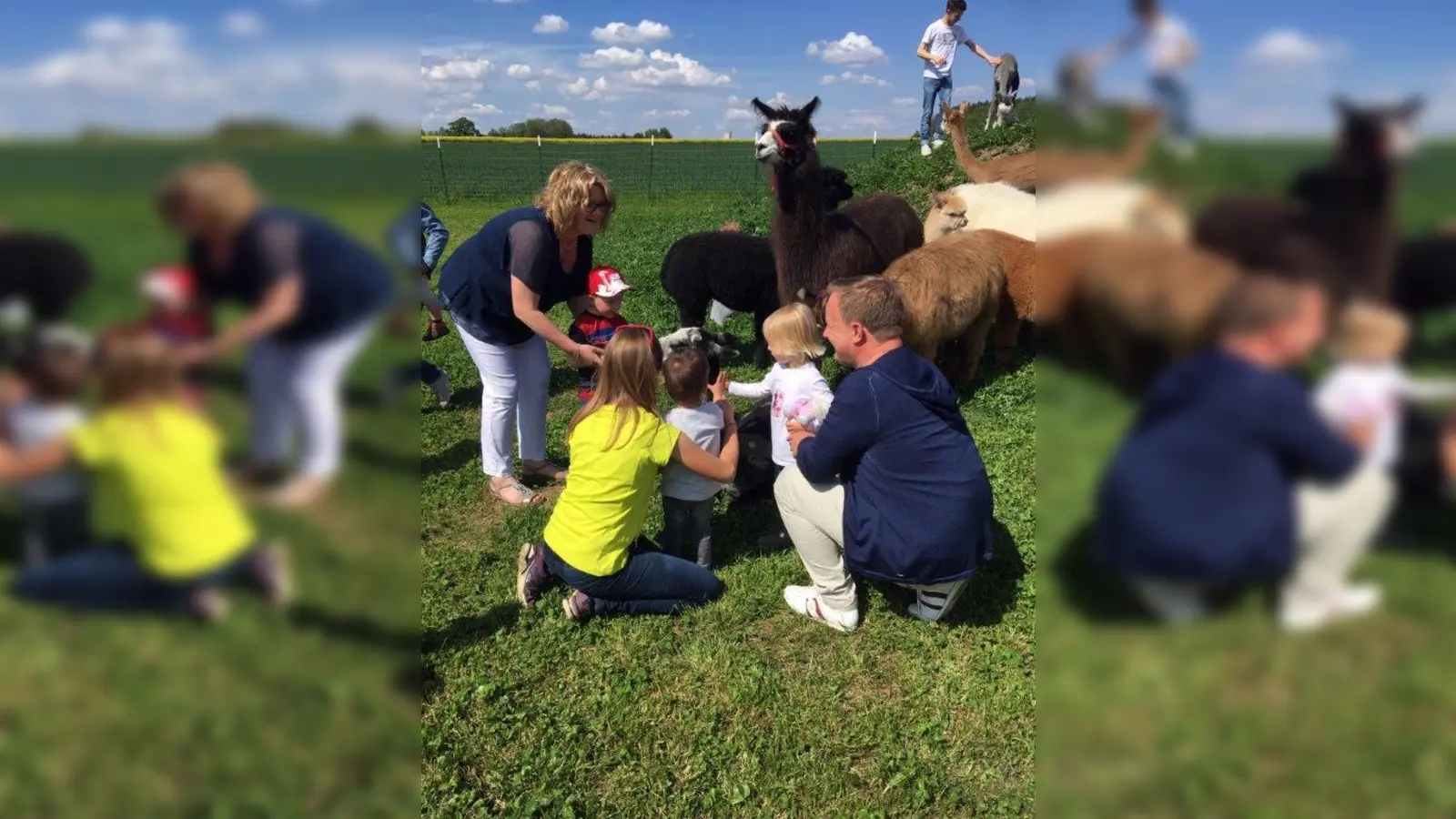 Heuer gab es Kaffee und Kuchen mitten unter Lamas und Alpakas. (Foto: LRA)