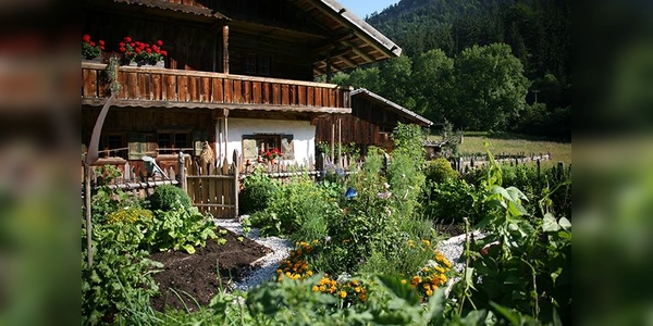 Zu Pfingsten wird es farbenfroh. (Foto: Markus Wasmeier)