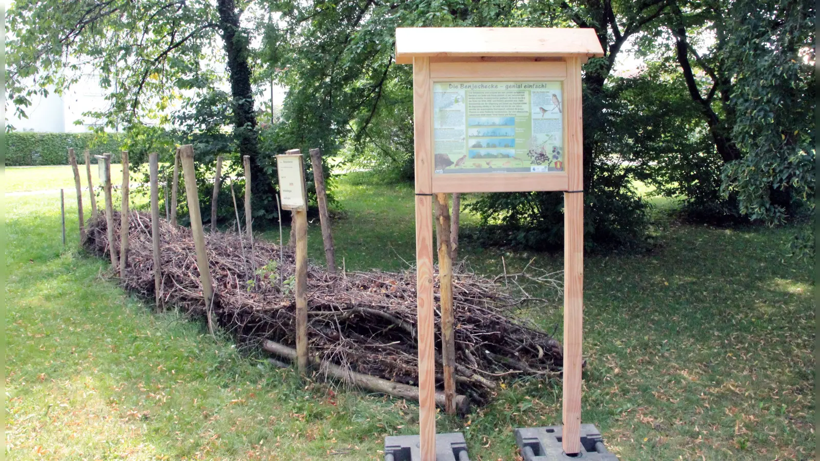 Die Benjeshecke fördert die Biodiversität und bietet zahlreichen Tierarten Lebensraum.  (Foto: Gemeinde Gilching)