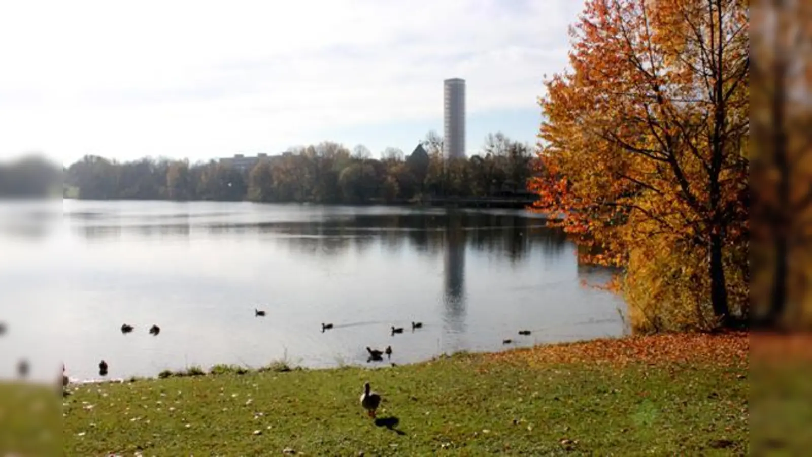  Foto: Daniel Mielcarek