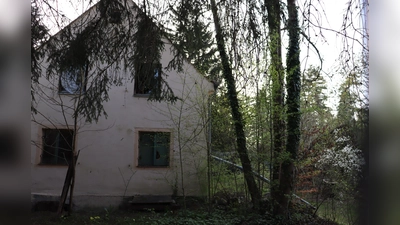 Keiner wohnt mehr auf dem Gelände. Doch Tiere und Pflanzen haben ein Zuhause in der Eggarten-Siedlung gefunden.  (Foto: mha)
