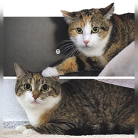 Karoline und Leonie. (Foto: Tierheim Riem)