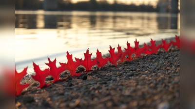 Selbst mit Naturmaterialien zum Künstler werden kann man im Rahmen der Ausstellung "Stadt-Land-Fluss" bei Workshop mit der LandArt-Künstlerin und Naturpädagogin Christina Diana Wenderoth. (Foto: VA)