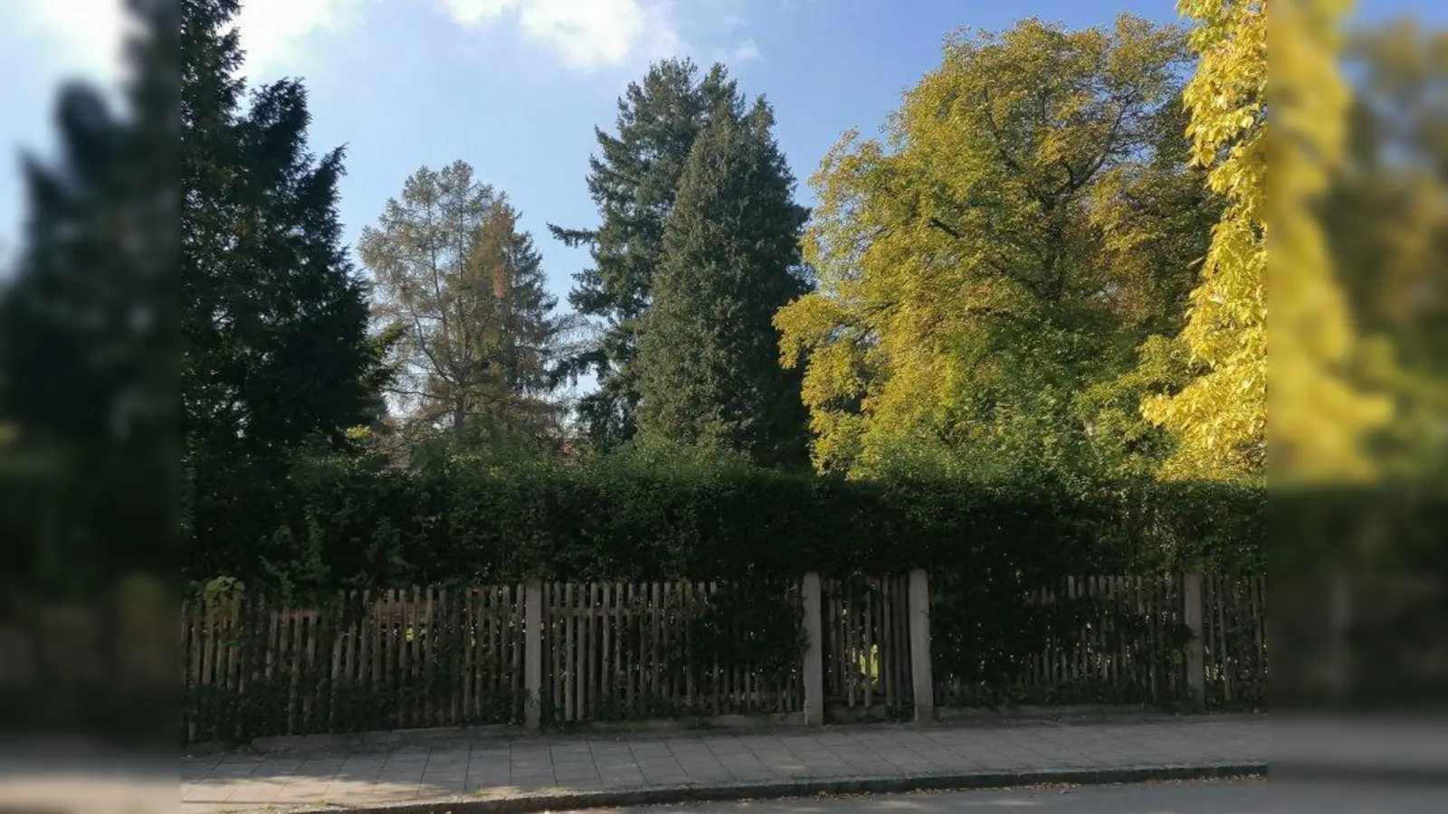 Auf dem Eckgrundstück Schiegg- / Rugendastraße wachsen alte, große Bäume. Die Anwohner fürchten, dieses Stück Naturbei einer Bebauung zu verlieren. (Foto: job)