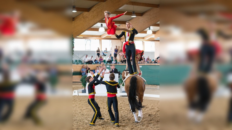 Nach zwei Sichtungen steht Ingelsberg ganz oben auf der Liste für die Karten zur EM. (Foto: Jürgen Wilfling, KlickVolti.de)