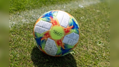 Spitzenreiter: U21-Löwen des TSV 1860 München.  (Symbolbild: Anne Wild)