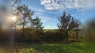 Die Schönheit der Heide genießen und gleichzeitig die vielen sensiblen Tierarten schützen kann man, indem man stets auf den Wegen bleibt.  (Foto: Daniel Mielcarek)