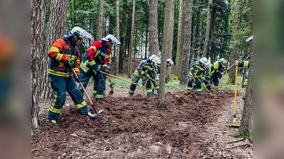 Die Feuerwehrler übten auch das Anlegen eines Wundstreifens im Wald. (Foto: KBI Dachau)