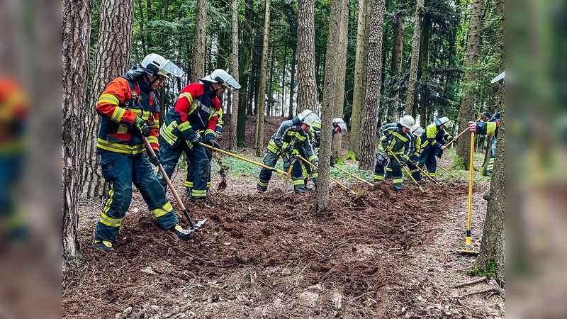 Die Feuerwehrler übten auch das Anlegen eines Wundstreifens im Wald. (Foto: KBI Dachau)